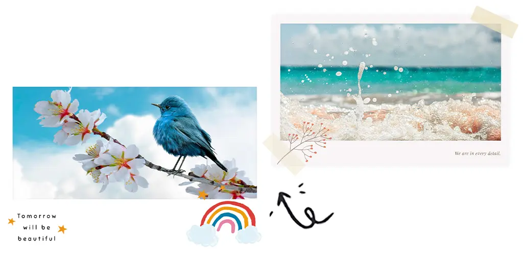 film and photo frames