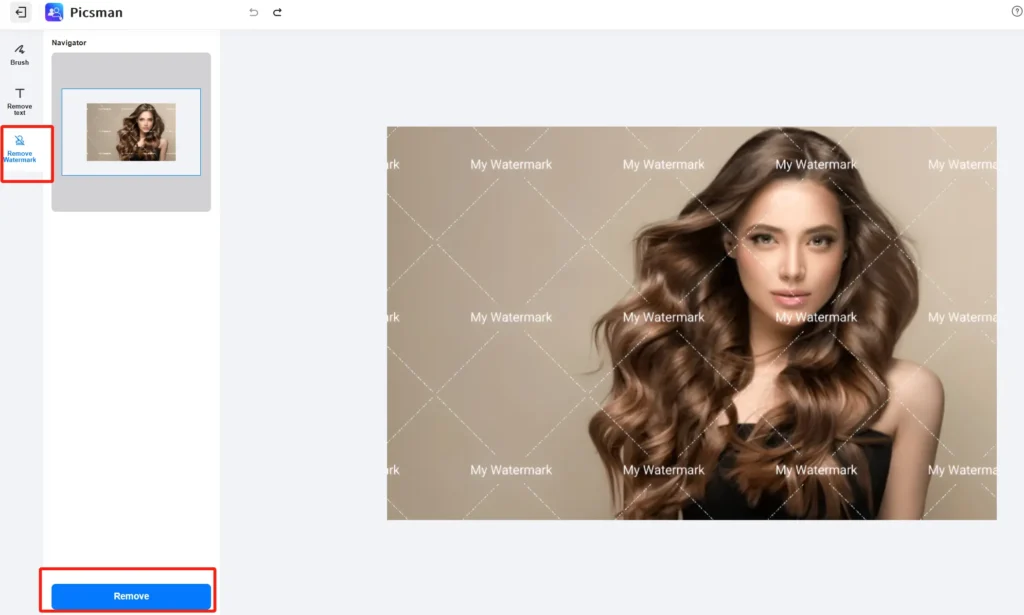 How to Use Picsman to delete watermarks
